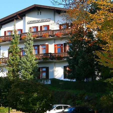 Pension Waldfriede Бад-Тацмансдорф Экстерьер фото
